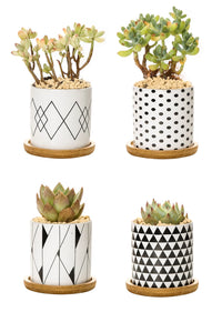 Set 4 Pezzi Vasi In Ceramica Con Decorazioni Fiori Piante Grasse Con Sotto Vaso In Bambù Foro Centrale Vasetti Cactus