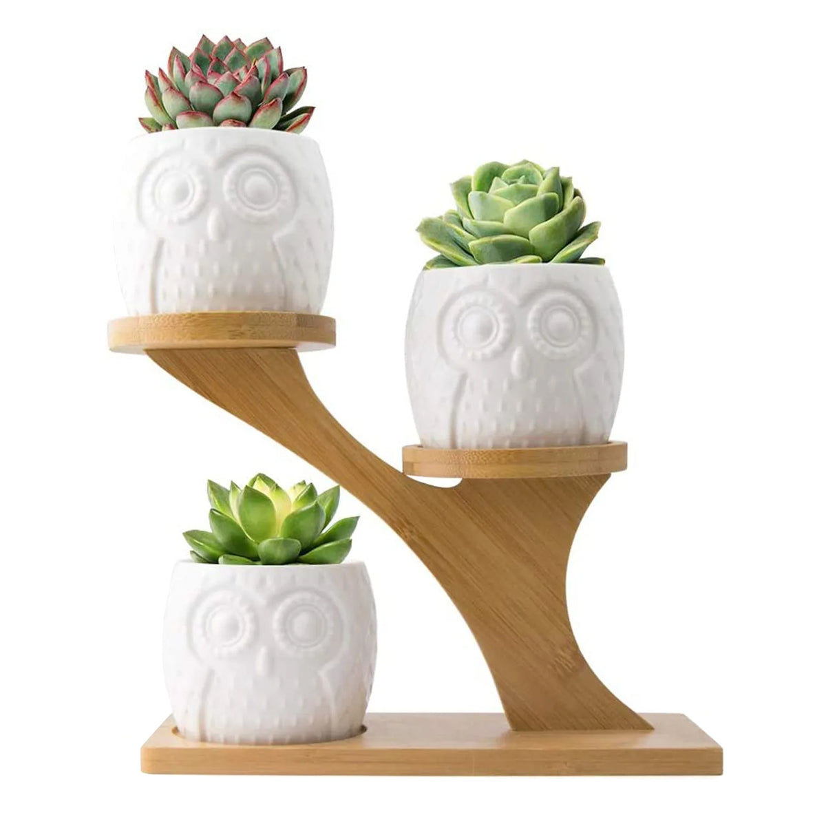 Set 6 Pezzi Vasi In Ceramica Fiori Piante Grasse Gufi Con Sotto Vaso In Bambù Foro Centrale Cactus Decorazione Interno Esterno Casa Vasetto Con Foro Scarico Fioriera Contenitore