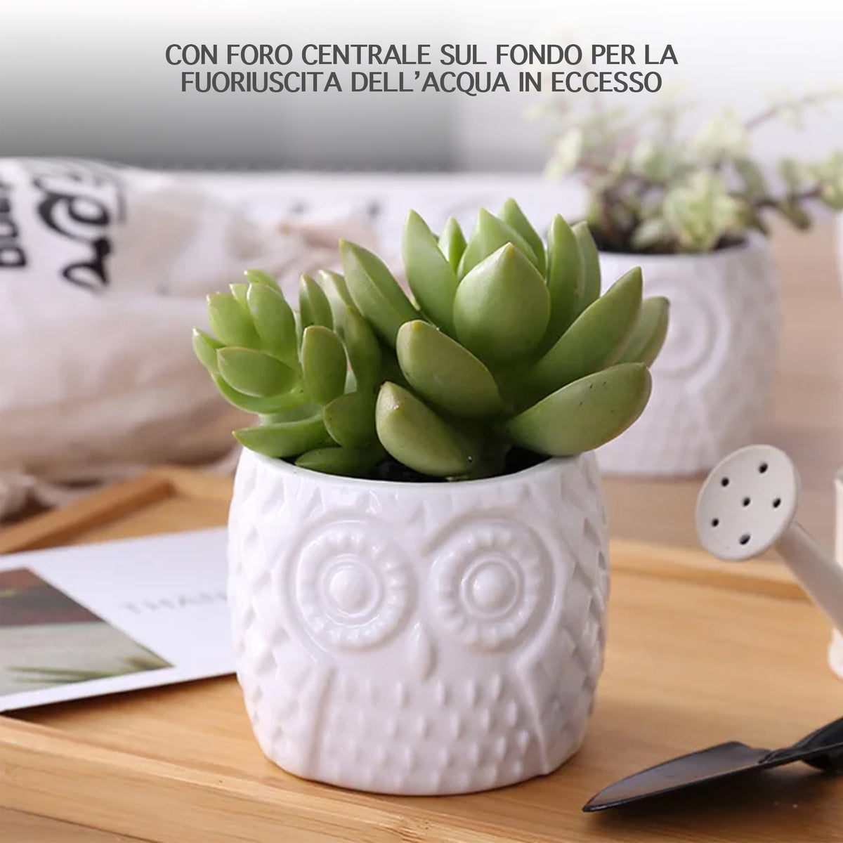 Set 6 Pezzi Vasi In Ceramica Fiori Piante Grasse Gufi Con Sotto Vaso In Bambù Foro Centrale Cactus Decorazione Interno Esterno Casa Vasetto Con Foro Scarico Fioriera Contenitore