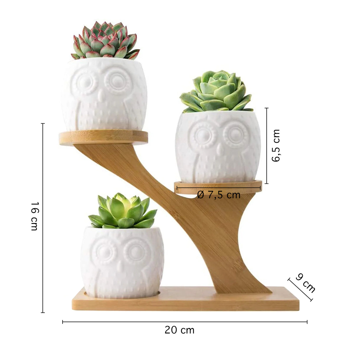 Set 6 Pezzi Vasi In Ceramica Fiori Piante Grasse Gufi Con Sotto Vaso In Bambù Foro Centrale Cactus Decorazione Interno Esterno Casa Vasetto Con Foro Scarico Fioriera Contenitore