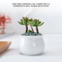 Set 4 Pezzi Vasi In Ceramica Con Decorazioni Fiori Piante Grasse Con Sotto Vaso In Bambù Foro Centrale Vasetti Cactus