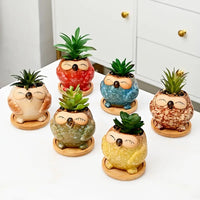 Set 6 Pezzi Vasi In Ceramica Fiori Piante Grasse Gufi Con Sotto Vaso In Bambù Foro Centrale Cactus Decorazione Interno Esterno Casa Vasetto Con Foro Scarico Fioriera Contenitore