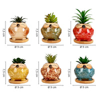 Set 6 Pezzi Vasi In Ceramica Fiori Piante Grasse Gufi Con Sotto Vaso In Bambù Foro Centrale Cactus Decorazione Interno Esterno Casa Vasetto Con Foro Scarico Fioriera Contenitore