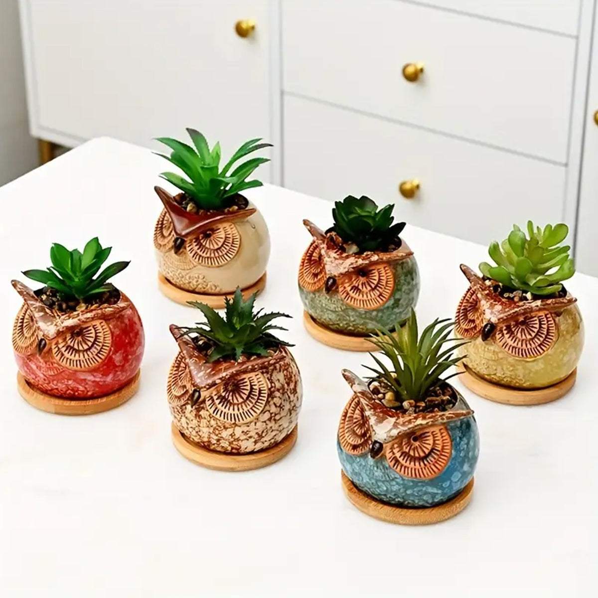 Set 6 Pezzi Vasi In Ceramica Fiori Piante Grasse Gufi Con Sotto Vaso In Bambù Foro Centrale Cactus Decorazione Interno Esterno Casa Vasetto Con Foro Scarico Fioriera Contenitore