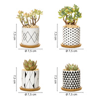 Set 4 Pezzi Vasi In Ceramica Con Decorazioni Fiori Piante Grasse Con Sotto Vaso In Bambù Foro Centrale Vasetti Cactus