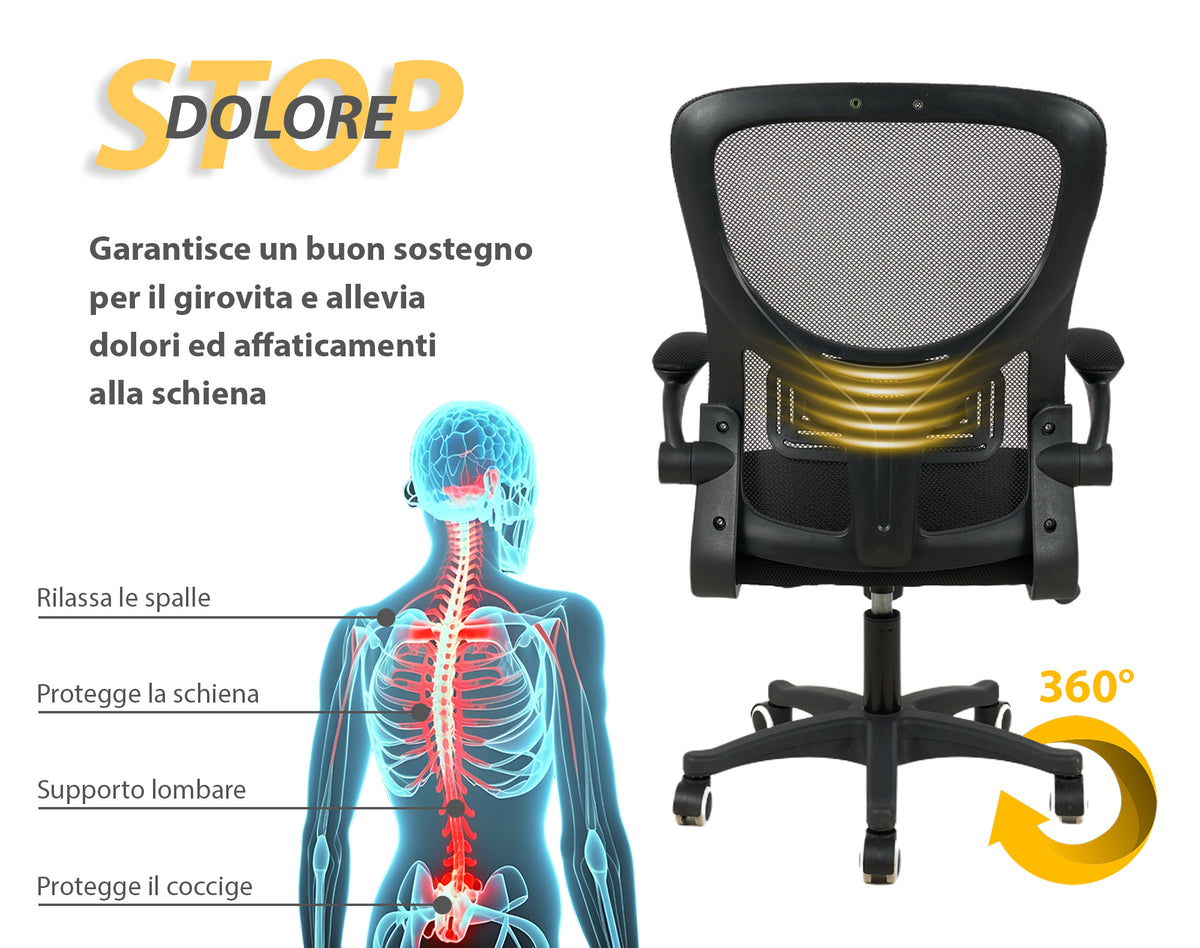 Sedia Da Ufficio Con Supporto Lombare, Sedia Scrivania Ergonomica Braccioli Regolabili Altezza Regolabile Schienale In Rete Traspirante,Oscillante