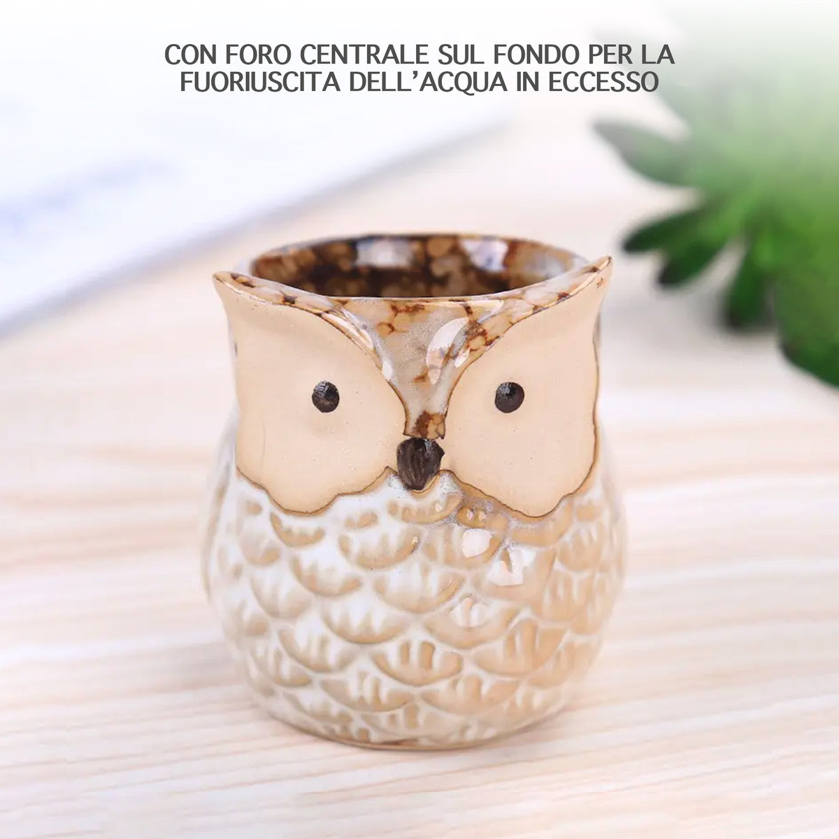 Set 6 Pezzi Vasi In Ceramica Fiori Piante Grasse Gufi Con Sotto Vaso In Bambù Foro Centrale Cactus Decorazione Interno Esterno Casa Vasetto Con Foro Scarico Fioriera Contenitore