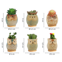 Set 6 Pezzi Vasi In Ceramica Fiori Piante Grasse Gufi Con Sotto Vaso In Bambù Foro Centrale Cactus Decorazione Interno Esterno Casa Vasetto Con Foro Scarico Fioriera Contenitore