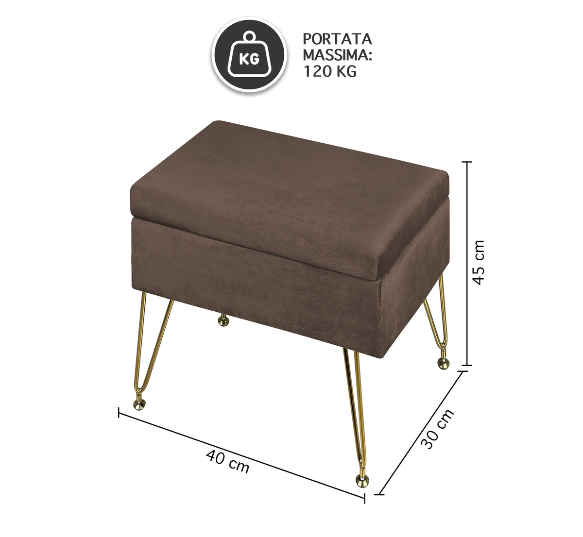 Pouf Panca Imbottita Divanetto In Velluto Contenitore PortaOggetti Con Gambe In Metallo Dorato Cassapanca Scarpiera Legno Massello